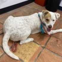 Thumbnail photo of Murdock #4