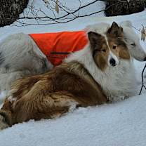 Thumbnail photo of Kip #4