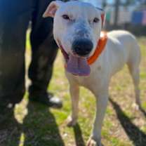 Thumbnail photo of Buddy #2