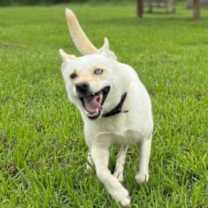 Thumbnail photo of Astrid #2