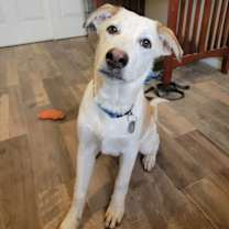 Thumbnail photo of Sammy #2
