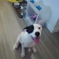 Thumbnail photo of Lola #1
