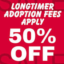 Thumbnail photo of Cohen #3