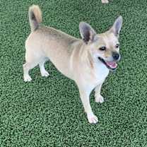 Thumbnail photo of Popcorn #2