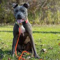 Thumbnail photo of Hailey #2