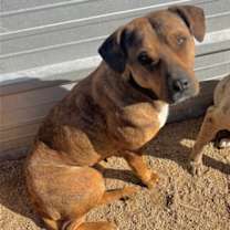 Thumbnail photo of Daisy Dukes #2