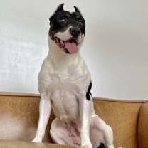 Thumbnail photo of Winnie #2