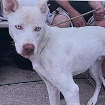 Thumbnail photo of Spark #2