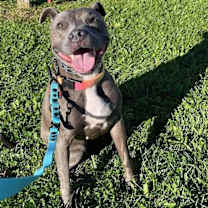 Thumbnail photo of Hailey #4