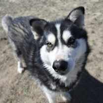 Thumbnail photo of Nome #3