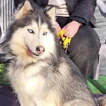 Thumbnail photo of JUELZ #2