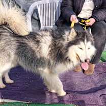 Thumbnail photo of JUELZ #3