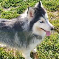 Thumbnail photo of JUELZ #4