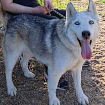 Thumbnail photo of SKY #4