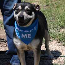 Thumbnail photo of Rocky #3