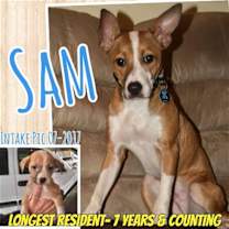 Thumbnail photo of Sam #1