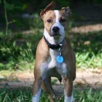 Thumbnail photo of Sam #3