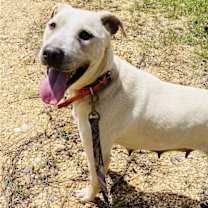 Thumbnail photo of LilyBeth #3