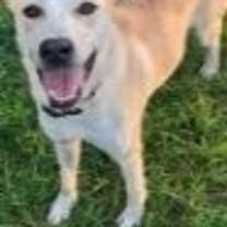 Thumbnail photo of Twix #1