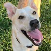 Thumbnail photo of Twix #4