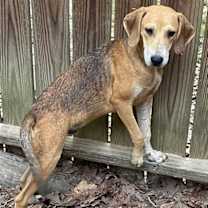 Thumbnail photo of Kiko #1