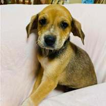 Thumbnail photo of Kiko #2