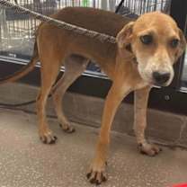 Thumbnail photo of Kiko #4