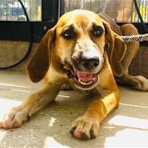 Thumbnail photo of Kino #4