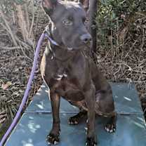 Thumbnail photo of Rico #3