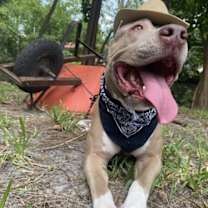 Thumbnail photo of Mawana #1