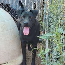 Thumbnail photo of Jackson #4