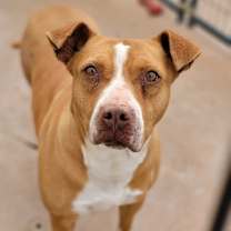 Thumbnail photo of Jilly #3