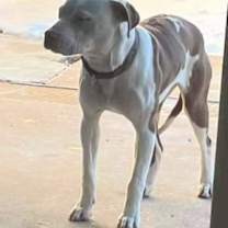 Thumbnail photo of Ruby #4