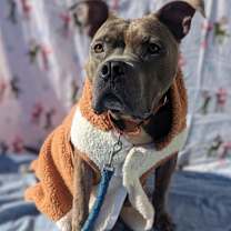 Thumbnail photo of Walter-Sponsored #1