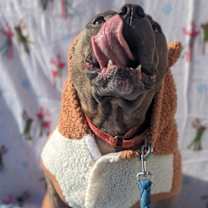 Thumbnail photo of Walter-Sponsored #3