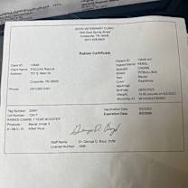 Thumbnail photo of REBEL #2