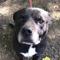 Thumbnail photo of Wilson #1