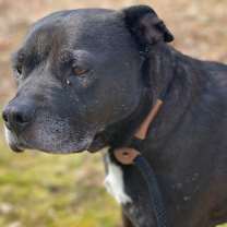 Thumbnail photo of Wilson #2