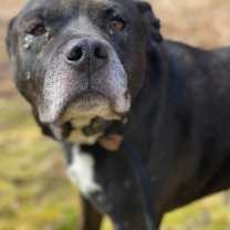 Thumbnail photo of Wilson #4