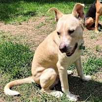 Thumbnail photo of Trevor #2