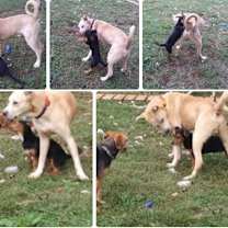 Thumbnail photo of Trevor #3