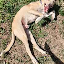 Thumbnail photo of Trevor #4