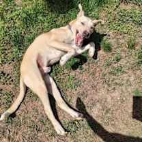 Thumbnail photo of Trevor #4