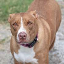 Thumbnail photo of Hera #1