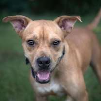 Thumbnail photo of Debi #1