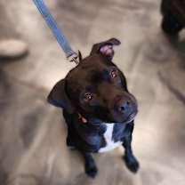 Thumbnail photo of Midnight Lagoon #1