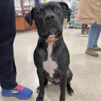 Thumbnail photo of Midnight Lagoon #2