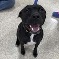 Thumbnail photo of Midnight Lagoon #3