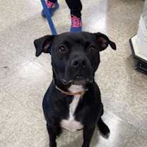 Thumbnail photo of Midnight Lagoon #4