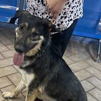 Thumbnail photo of Betty***Courtesy Post*** #1